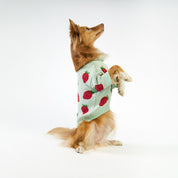 Mint Strawberries Dog Sweater