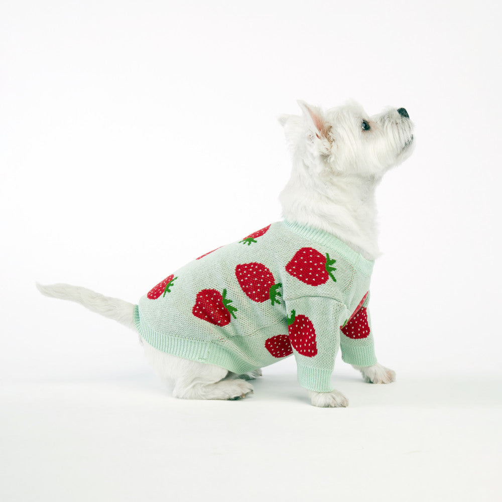 Mint Strawberries Dog Sweater