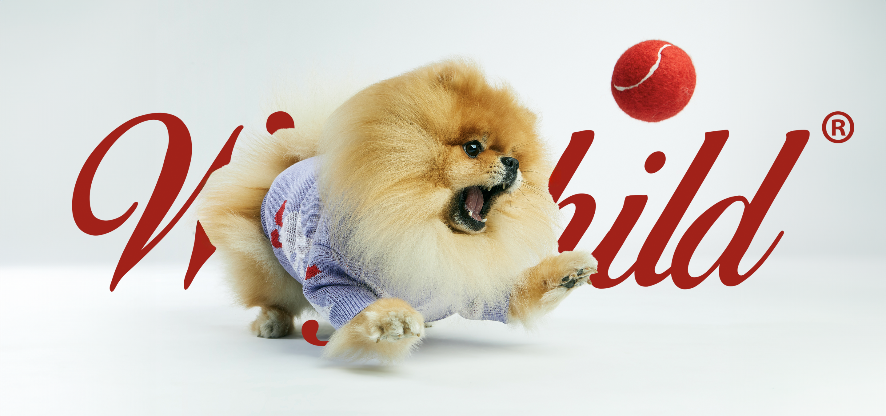 woofchild.png