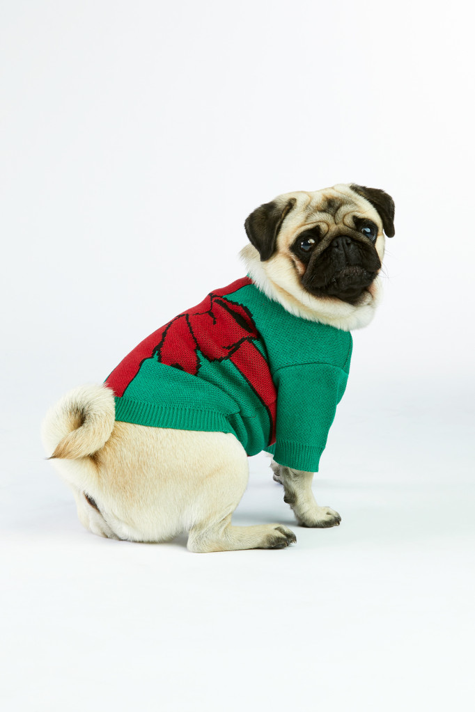 sweterek dla psa Christmas