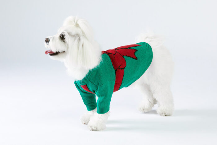sweterek dla psa Christmas1