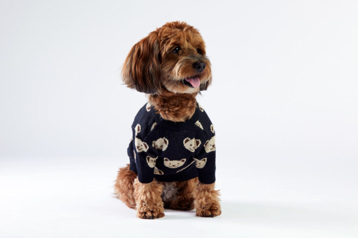 Woofchild-sweter dla psa