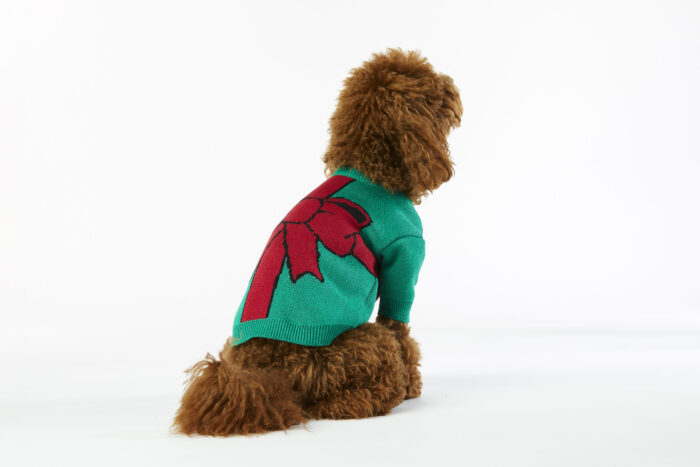 Christmas sweterek dla psa