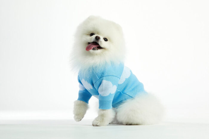 Woofchild sweter dla psa chmurki