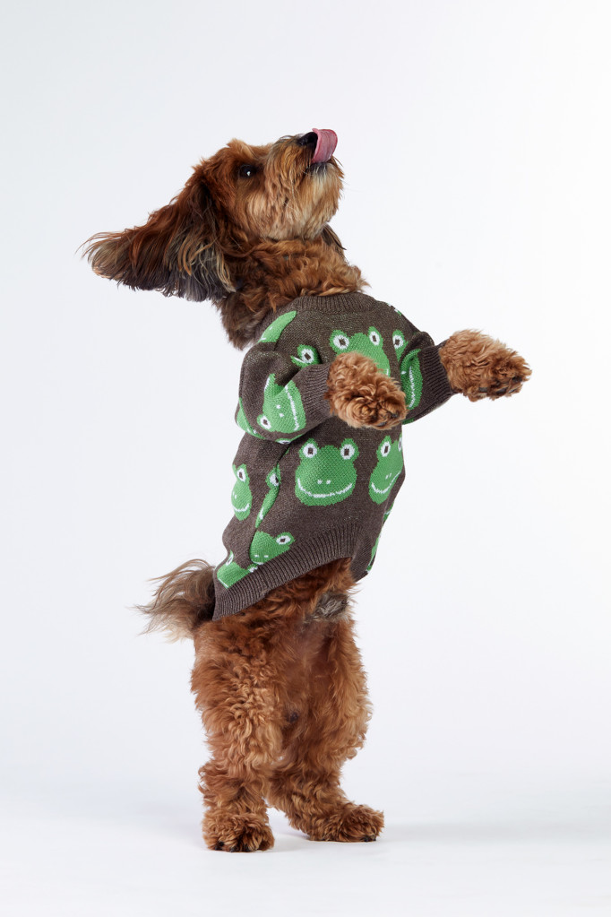 Woofchild sweter dla psa -brązowy w żabki
