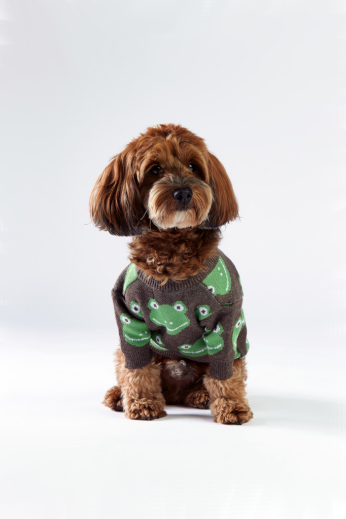 Woofchild sweter dla psa
