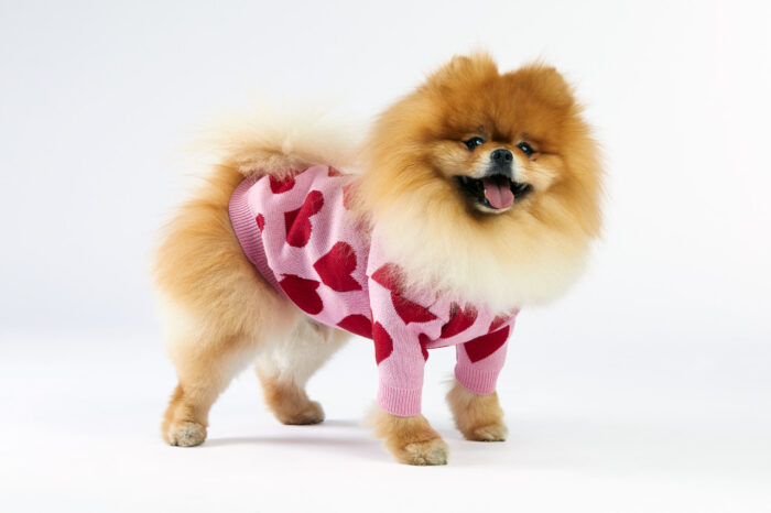 Woofchild sweter dla pieska - różowy