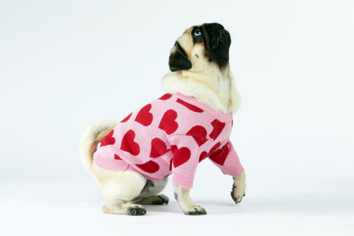 Woofchild sweter dla pieska - różowy
