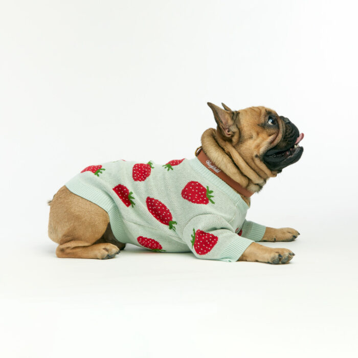 Dog Sweater Woofchild