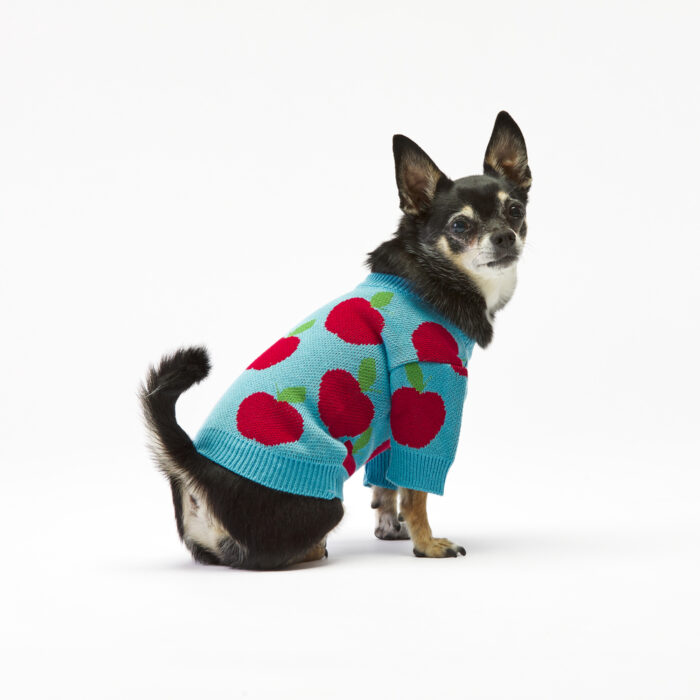 Sweter dla psa w jabłka - sklep