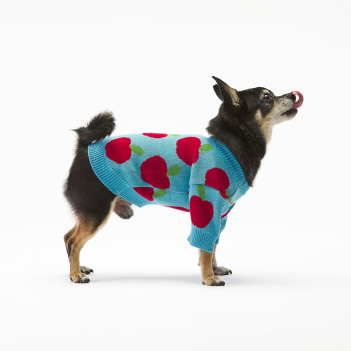 Sweter dla psa w jabłka - sklep