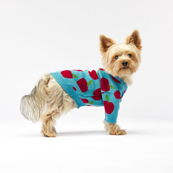 Apple Dog Sweater Woofchild