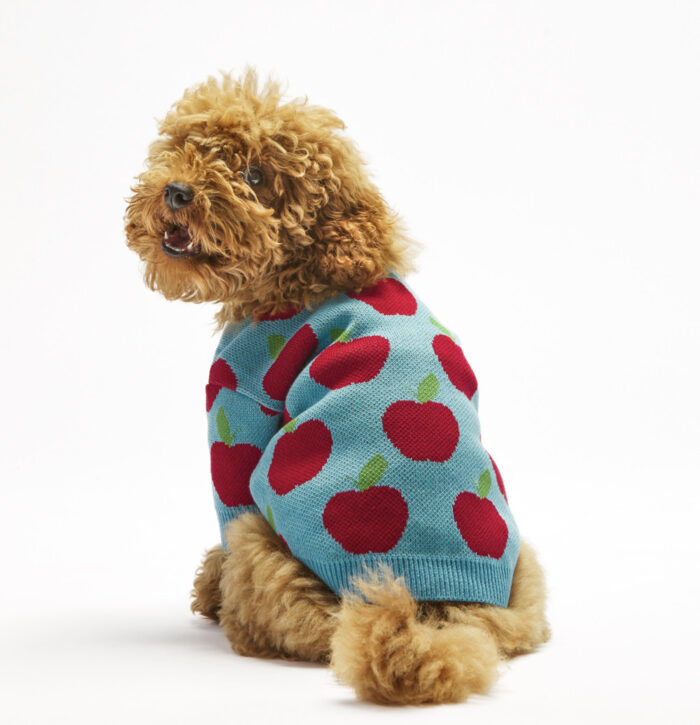Apple Dog Sweater