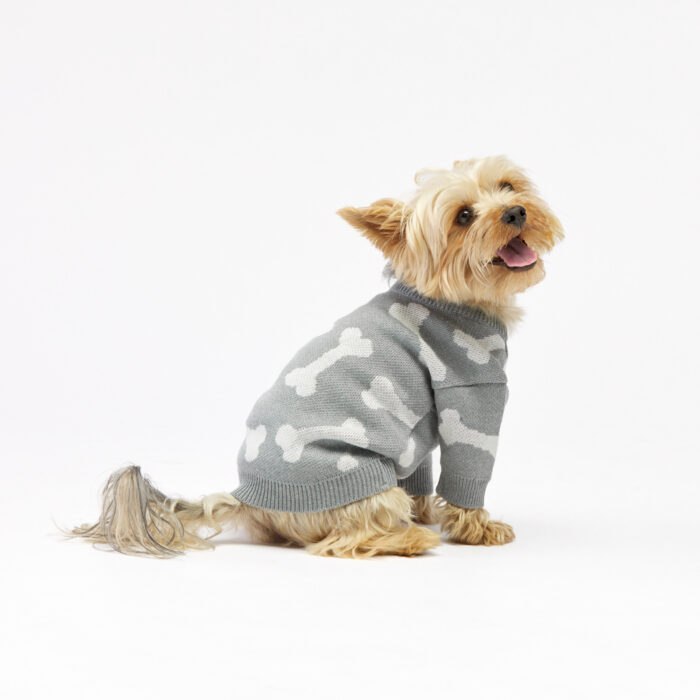 Sweter dla psa w kostki - sklep Woofchild