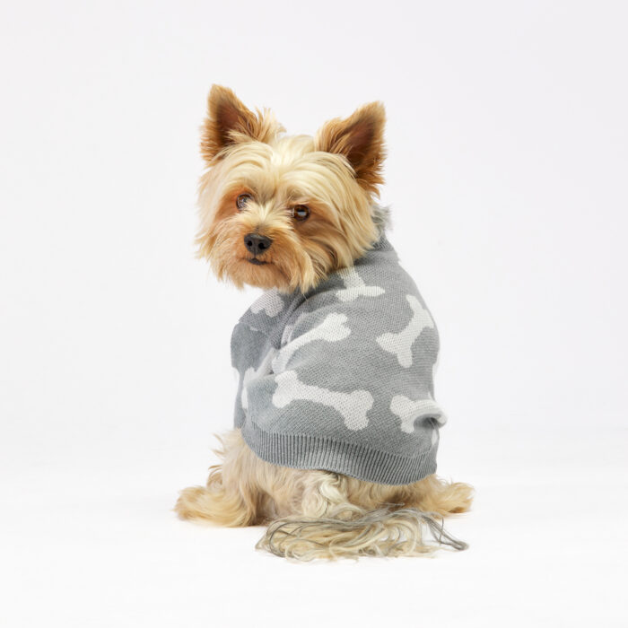 Sweter dla psa w kostki - sklep ze sweterkami dla psów